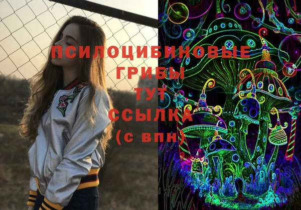 шишки Белоозёрский